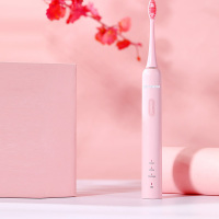 现代(HYUNDAI) X600 声波电动牙刷 (Z)