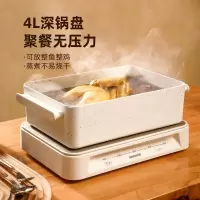 大宇(DAEWOO) S11 功 能 锅(G)
