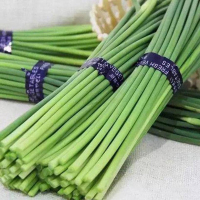 蒜薹(嘉峪关0634)