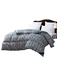 芳恩(faunen) FN-B6040 卢浮梦赛羽绒被 200╳230cm 填充物 2000g 被重 3000g