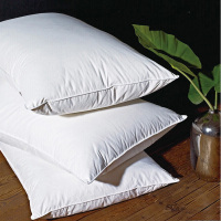 ZDET 枕头 丝棉弹性好干爽(个)