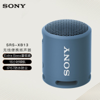 索尼(SONY) 智能音箱SRS-XB13 (单位:台)