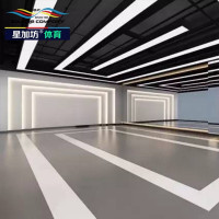 星加坊运动地胶专业舞蹈室休闲室贴面镜幼儿园专业防滑耐磨PVC地胶地板4.0mm