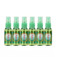 碧丽 金银花原味花露水 28ml*6