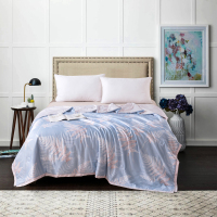 可欣一品天丝被 01119507