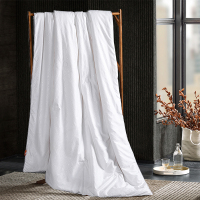 可欣纯蚕丝芯被 01319031