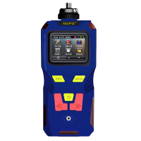 NGPG 检测仪 NGP40-THT-G 便携式 高精度 四氢噻吩检测仪(个)
