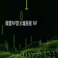绿盟NF下一代防火墙系统 NFNX3-CH3330-NOS-01 V6.0
