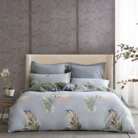 水星(MERCURY DH清风有信