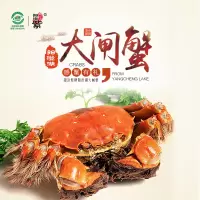 [活蟹]阳澄紫牌阳澄湖大闸蟹888型 公4.0两 母3.0两 3对/6只 去绳净重 精品活蟹大闸蟹礼盒 海鲜水产生鲜