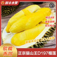 鲜丰水果马来西亚猫山王榴莲D197液氮冷冻带壳新鲜水果4.5-5斤保4房
