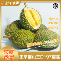 鲜丰水果马来西亚猫山王榴莲D197液氮冷冻带壳新鲜水果4-4.5斤保4房