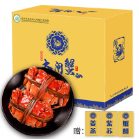 [活蟹]蟹灵阁阳澄湖大闸蟹礼盒 鲜活螃蟹河蟹公母蟹河鲜 公3.5两 母2.5两 4对8只装