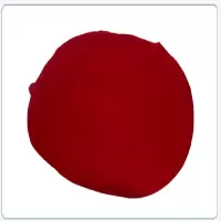 帆船牌 金相抛光布 真丝丝绒 颜色随机 φ230mm 单位:张