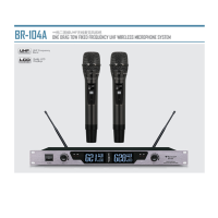DP 巴森 BR-104 无线麦克风一拖二
