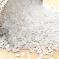 香米 25kg
