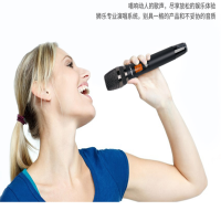 狮乐(SHILE) 有线麦克风U段有线话筒KTV演出卡拉ok会议手持线话筒含安装调试 SH-17