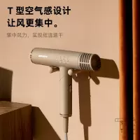 大宇HD01 吹风机