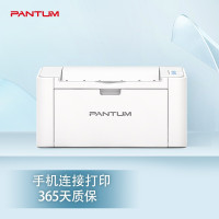 奔图(PANTUM)P2206NW 激光打印机无线网络WiFi GD