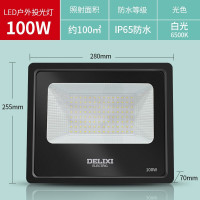 德力西 投光灯 JT602 LED射灯 冷白100W(盏)