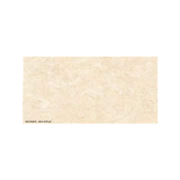 马可波罗 黄色墙砖 300*600mm