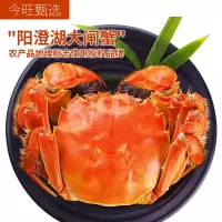 今旺甄选鲜活大闸蟹红牌蟹公蟹4.5两 母蟹3.5两 4对8只装活蟹