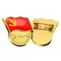 镀金标准党员徽章 10个装