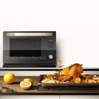 格兰仕(Galanz) DG26T-D20 不锈钢内胆蒸烤箱 26L