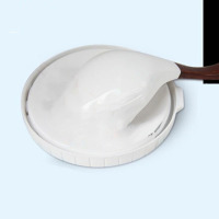 诗贝雅 2K汽车油漆 高光面漆 防锈漆 白色 4L