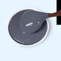 诗贝雅 2K汽车油漆 高光面漆 防锈漆 中灰 4L