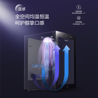 海尔(Haier)49瓶装冷藏恒温红酒柜 办公室葡萄酒家用酒柜WS049U1