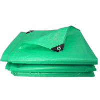 PE加厚篷布双绿5×10米