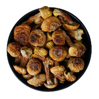 山鲜郎 姬松茸 30g*3