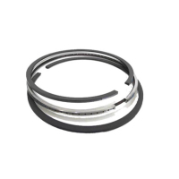 南京依维柯NJ2046活塞环