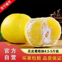 现摘花皮葡萄柚西柚4.5-5斤装 约3-8个 新鲜柚子 自营水果应季水果 “移动的果汁库”