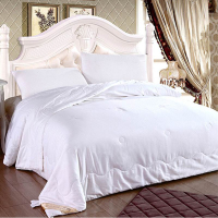 伊伊爱SC-C1W-050DN贡缎150*210cm500g桑蚕丝被(计价单位：床)