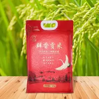 米妹妹(MIMEIMEI)米妹妹 财运稻五常香米500g