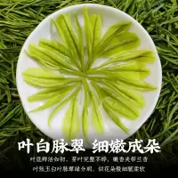 明前特级春茶 茶叶绿茶