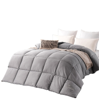 芳恩(faunen) FN-B6020灰色 杜邦Sorona植物羽绒被 200╳230cm 填充物 2000g 单张装