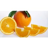 橙子(玉门0803)