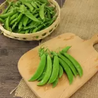 荷兰豆(玉门0804)