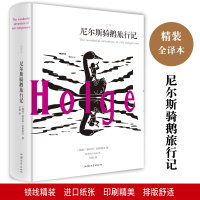 YJDF尼尔斯骑鹅旅行记