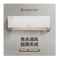 格力(GREE)空调天丽大1匹挂机 变频冷暖 家用办公壁挂式空调 KFR-26GW/(26530)FNhAk-B3-D