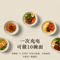 大宇 MT1 面条机