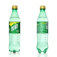 雪碧500ml-QSJL