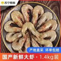 [苏宁宜品推荐]国产海捕大对虾新鲜大虾特大青虾海鲜水产冷冻鲜虾类1.4kg国产大虾70-80规格