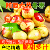 [西沛生鲜]陕西大荔冬枣 净重2斤 箱装 红枣子精选 当季新鲜水果