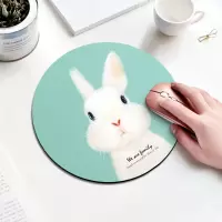 西部数据鼠标垫