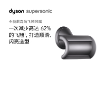 戴森(Dyson) 防飞翘风嘴(铁灰色)971618-01