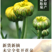 八馬 胎菊 罐装 80g（罐）